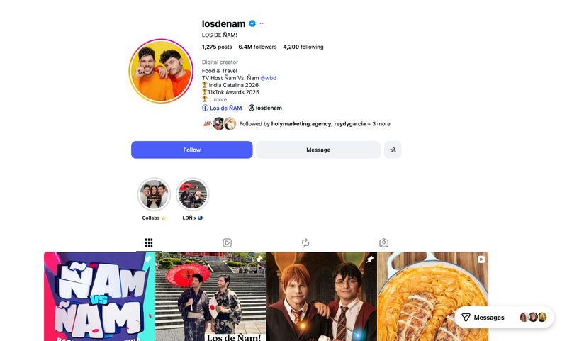 @losdenam Instagram profile preview