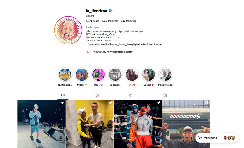 @la_liendraa Instagram profile preview