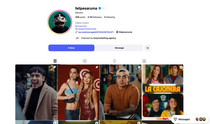 @felipesaruma Instagram profile preview