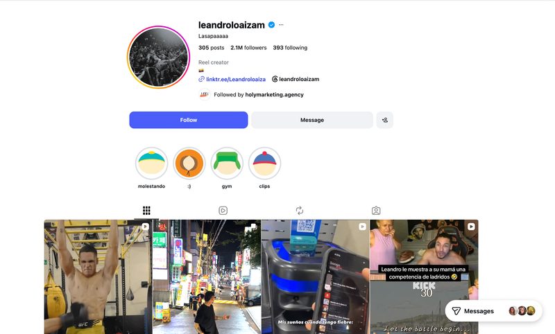 @leandroloaizam Instagram profile preview